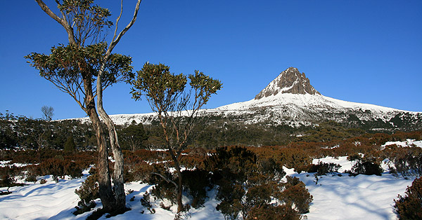 Willkommen zum Newsletter Nr 31