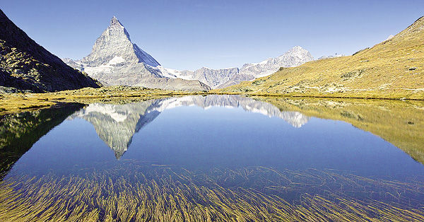 Willkommen zum Newsletter Nr 36