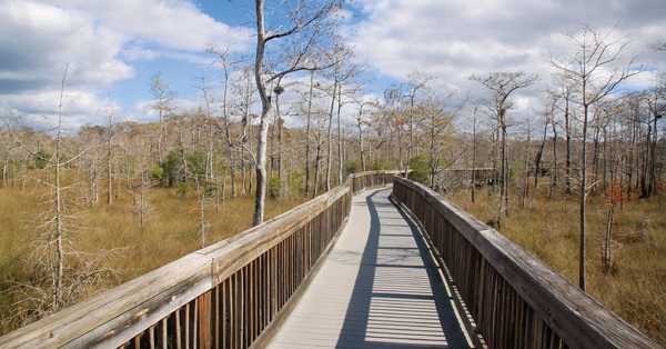 Willkommen zum Newsletter Nr 35