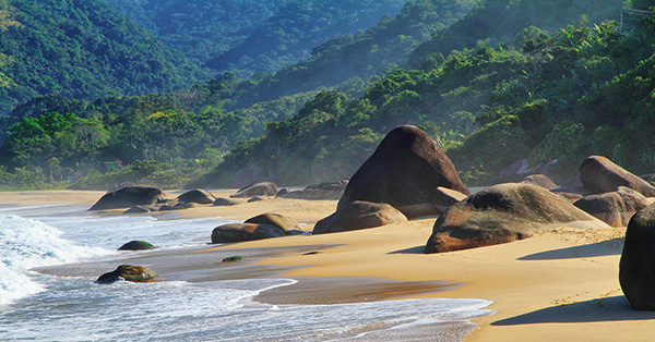 Willkommen zum Newsletter Nr 35