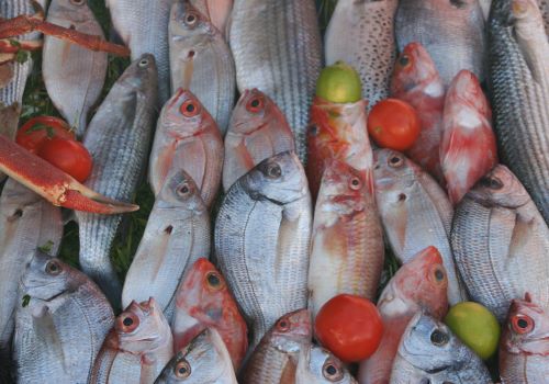 Frisch Fisch