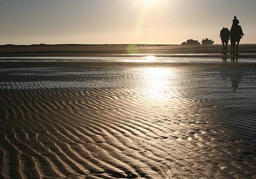 Strand-Stillleben