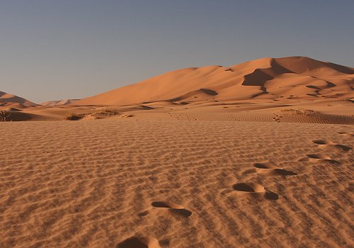 Spuren im Sand