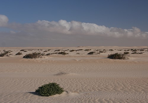 West-Sahara