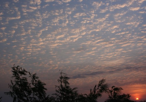Morgendaemmerung