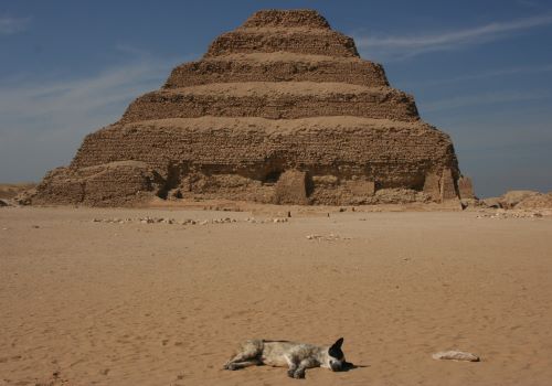 Siesta Siesta