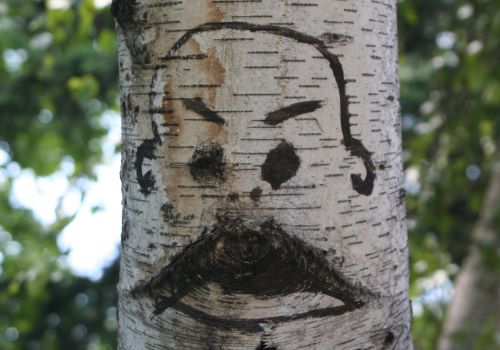 Baumgesicht