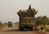 Holztransport