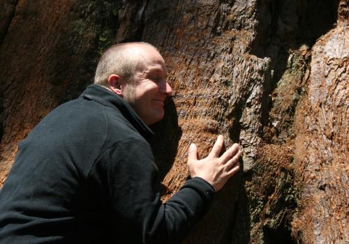 Treehugger Treehugger