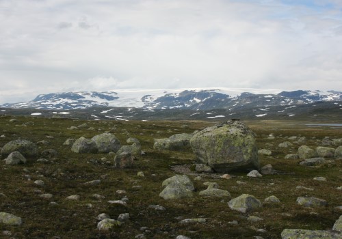 Hardangervidda
