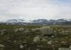 Hardangervidda