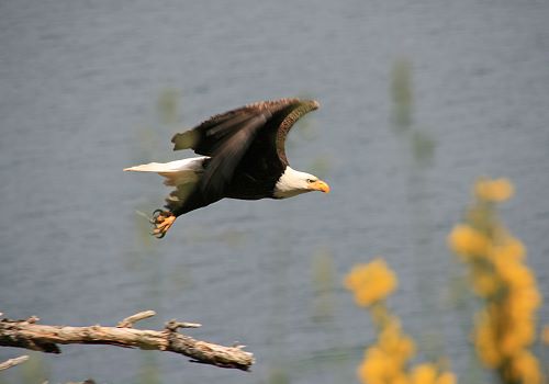 Abflug