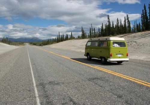 Into the wild