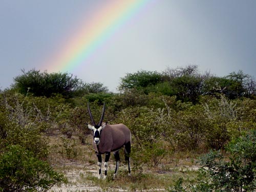 Am Fuss des Regenbogens