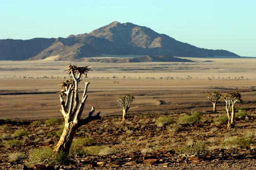 Wüstenlandschaft